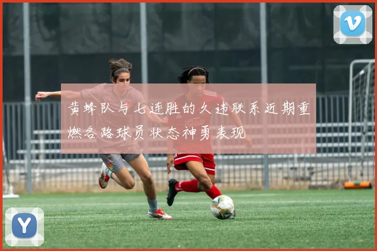 黄蜂队与七连胜的久违联系近期重燃各路球员状态神勇表现