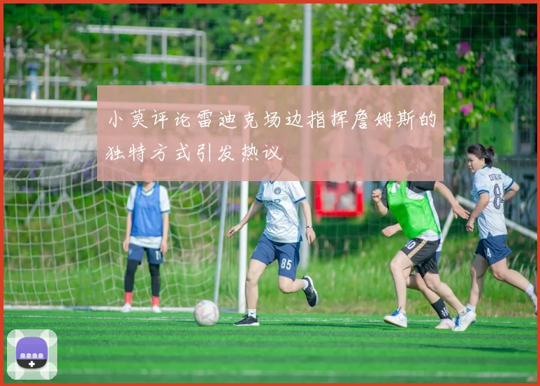 小莫评论雷迪克场边指挥詹姆斯的独特方式引发热议